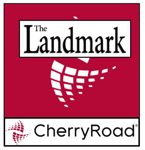 Holden Landmark