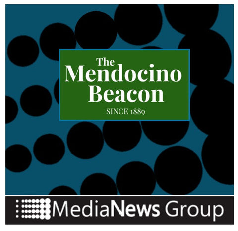 Medocino Beacon